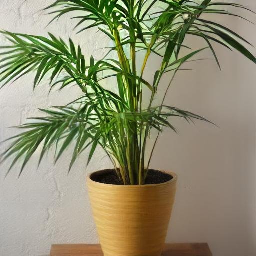 bamboo plants for indoors